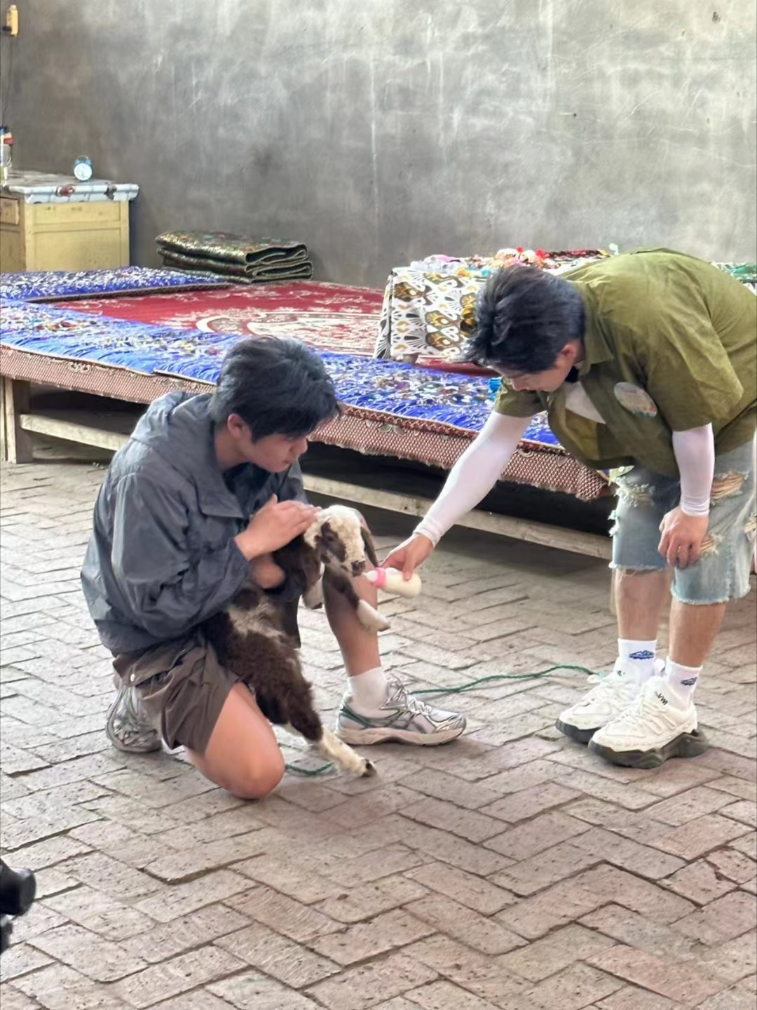#武艺抓羊偷感很重# 真的是太可爱了，哈哈，每次看到他，我都觉得特别的有意思，这