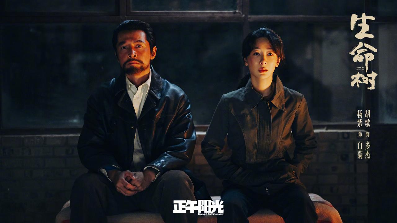 从拘谨客套到随心打趣，胡歌道出杨紫难得的人格魅力
胡歌说：“有一天我在现场，我就