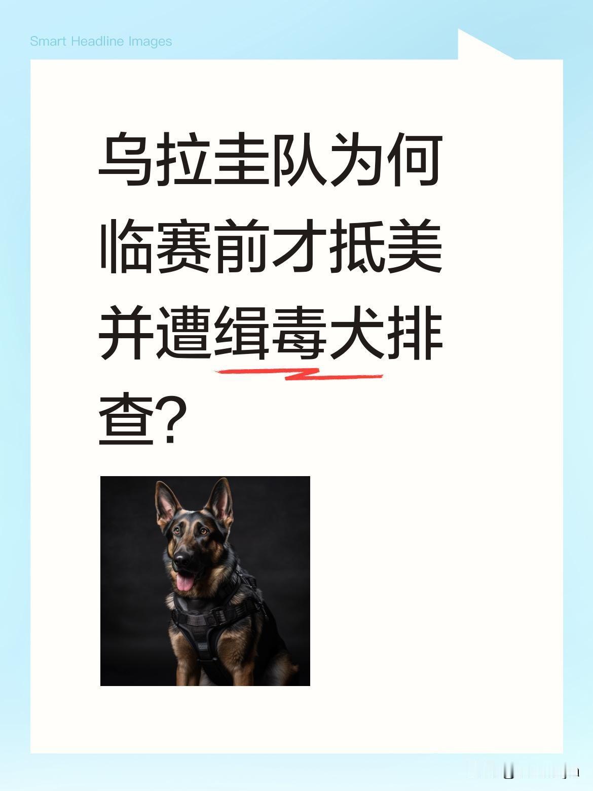 乌拉圭队为何临赛前才抵美并遭缉毒犬排查？
据报道，乌拉圭队因行政手续问题滞留墨西