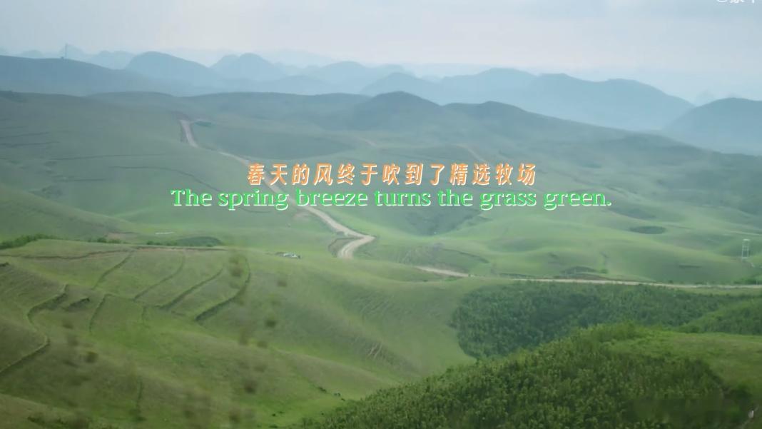 想看小牛竟被牧场做局 说到好牛奶，很多人第一反应是口感、香浓、营养，但往前追溯一