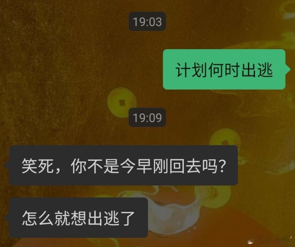 回来半天只想出逃 