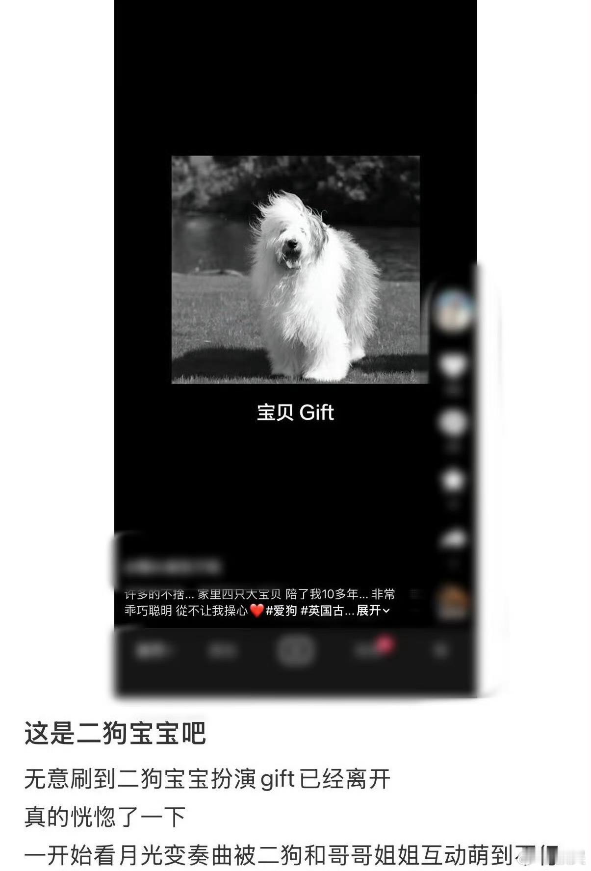 月光变奏曲的二狗去世了剧还没刷完，昼川家的二狗先回汪星了😭 那个在《月光变奏曲