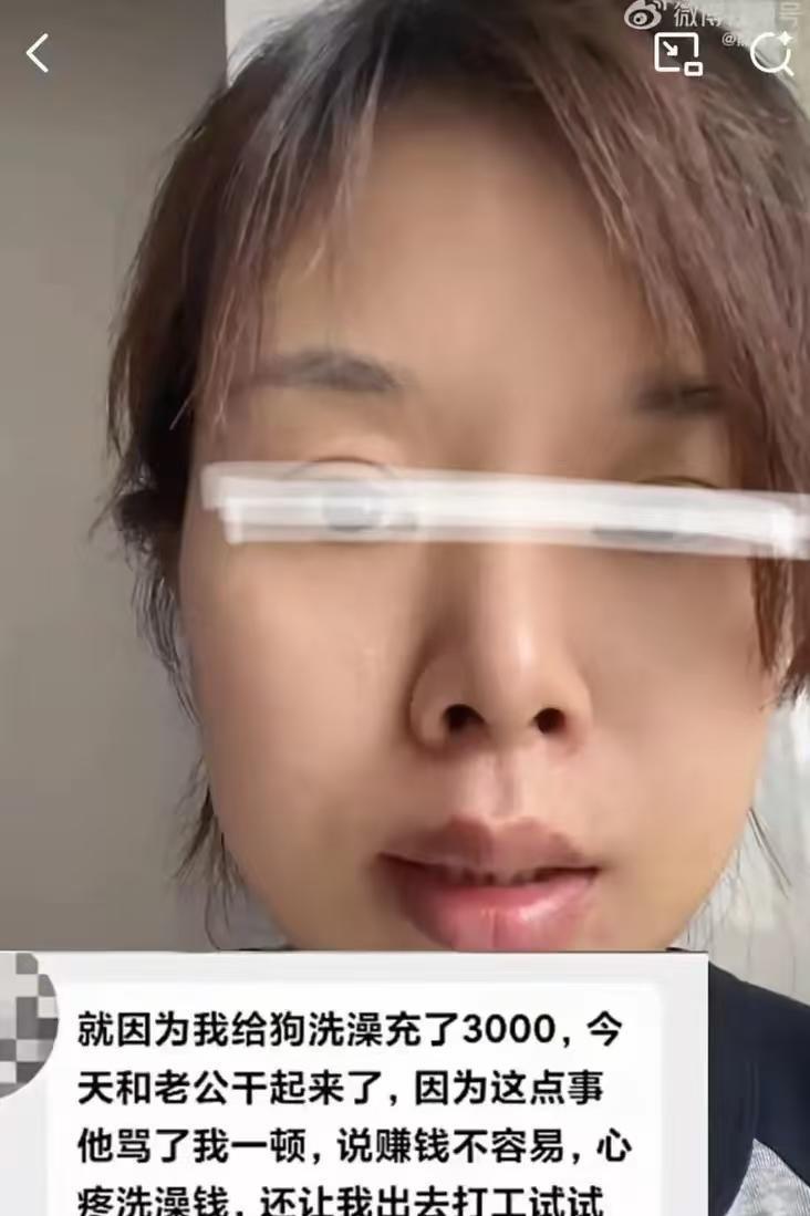 女子给狗充了3000元洗澡卡，丈夫知道后大发雷霆，说女子败家，对狗都比对他好！而