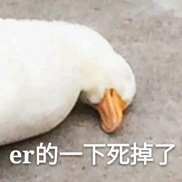 刚做完平板运动心电图，直接给我整吐了……我扶着墙跪在垃圾桶前面吐的样子，太好笑了