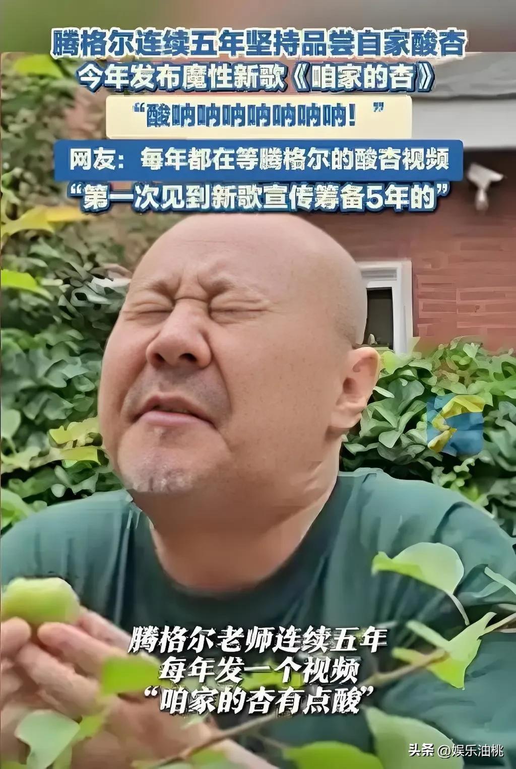 《咱家的杏》，听着就流口水。

腾格尔连续五年尝自家的杏，万一被人挖了，不知道会