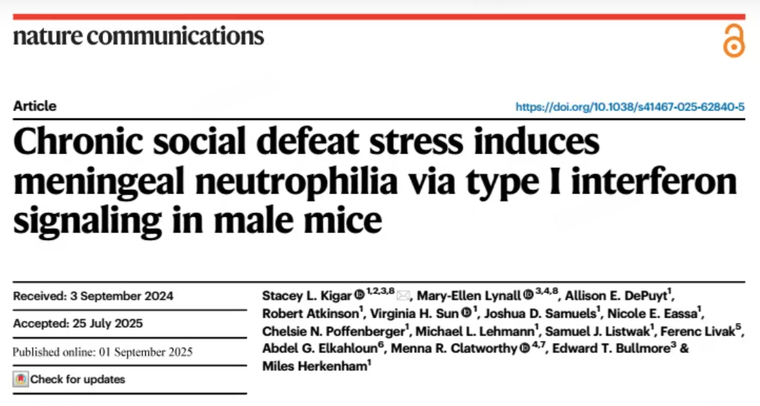 长期负面情绪会导致脑部生理性改变  长期处于负面情绪中，会导致大脑产生确切的生理