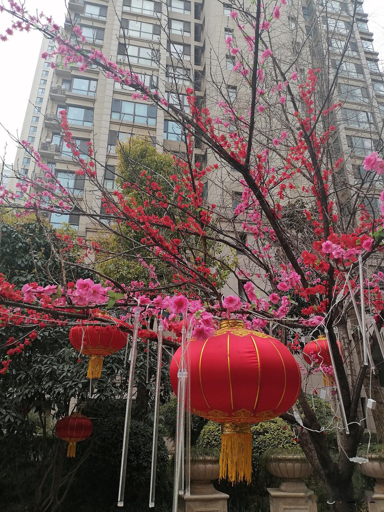 过年这节日气氛真是绝了！就说这个高层住宅小区，大红灯笼高高挂着，一眼望去红彤彤一