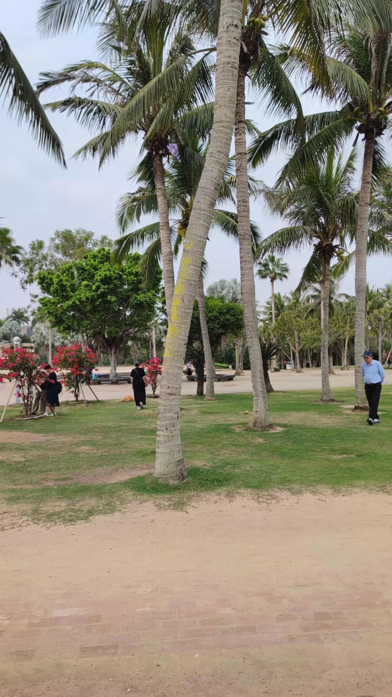 去年，我带着老伴到南方游玩了一番。说来也怪，在家的时候，她不是这儿疼就是那儿疼，