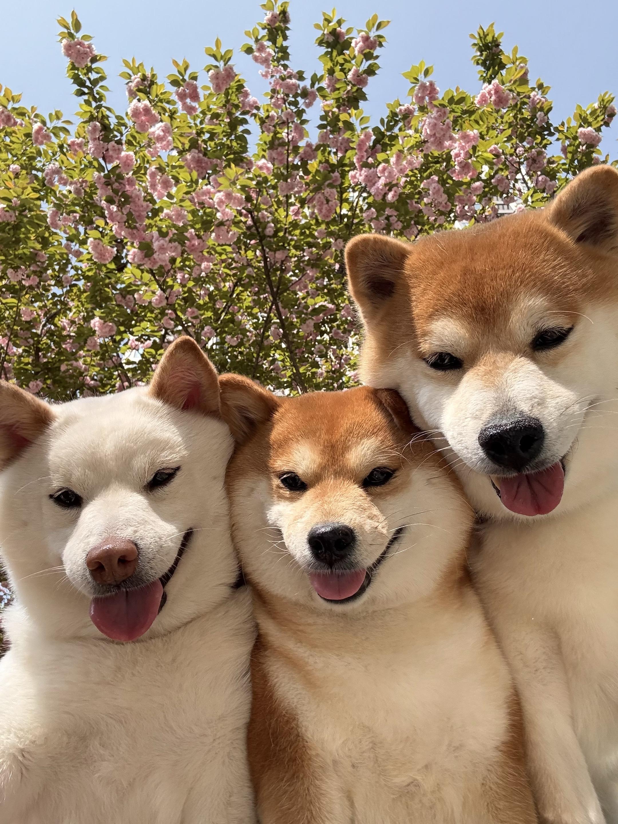 别辜负眼前季节