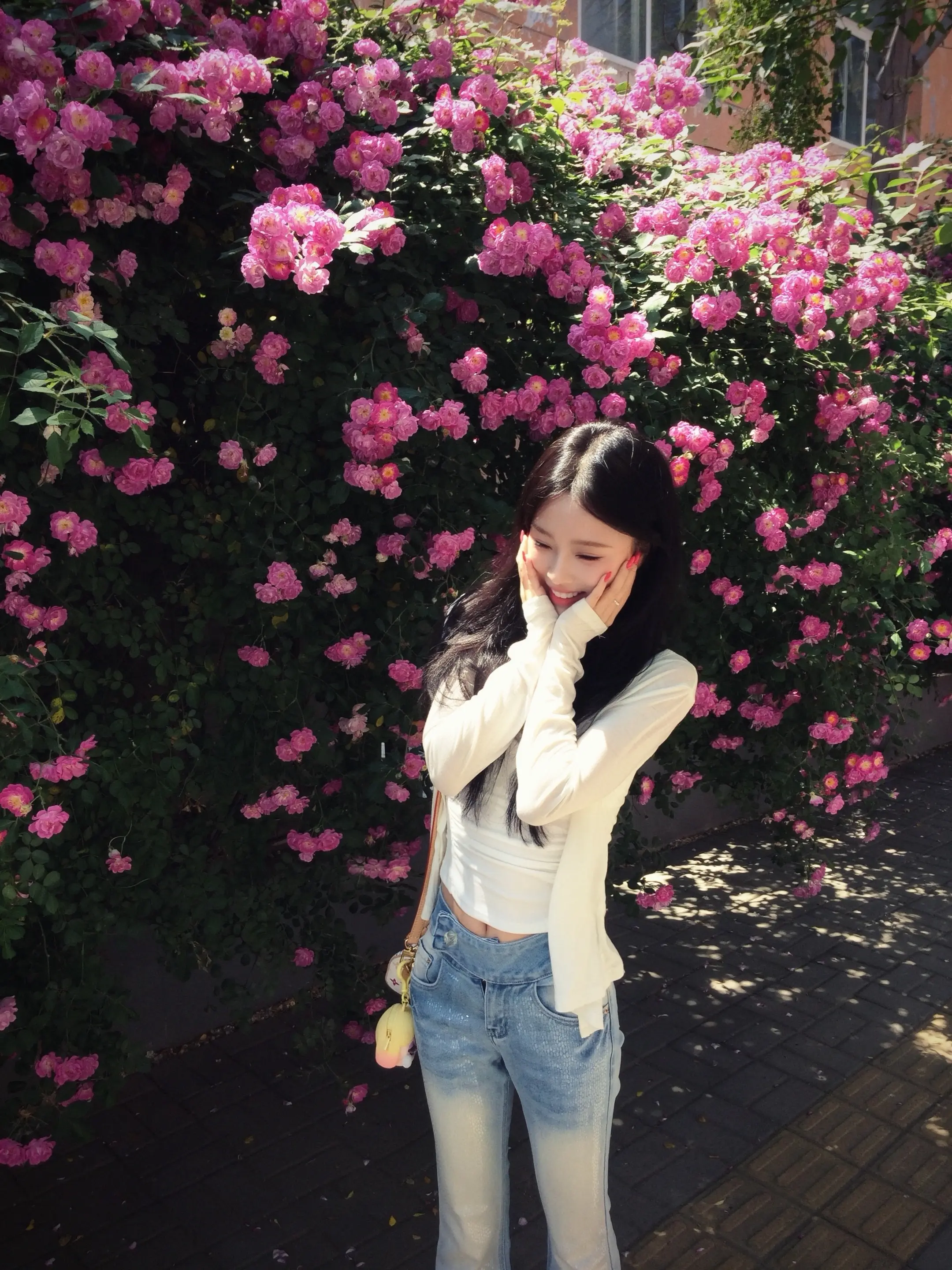 他喜欢橘子 但你是最好的苹果呀 ^_^