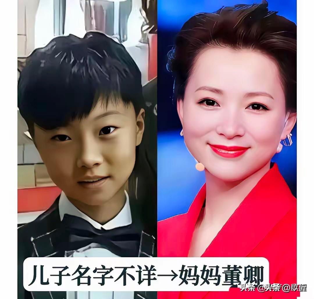 央视名嘴们在镜头前是端庄大方的国脸，回到家里他们也是最普通的父母。

先说董卿和