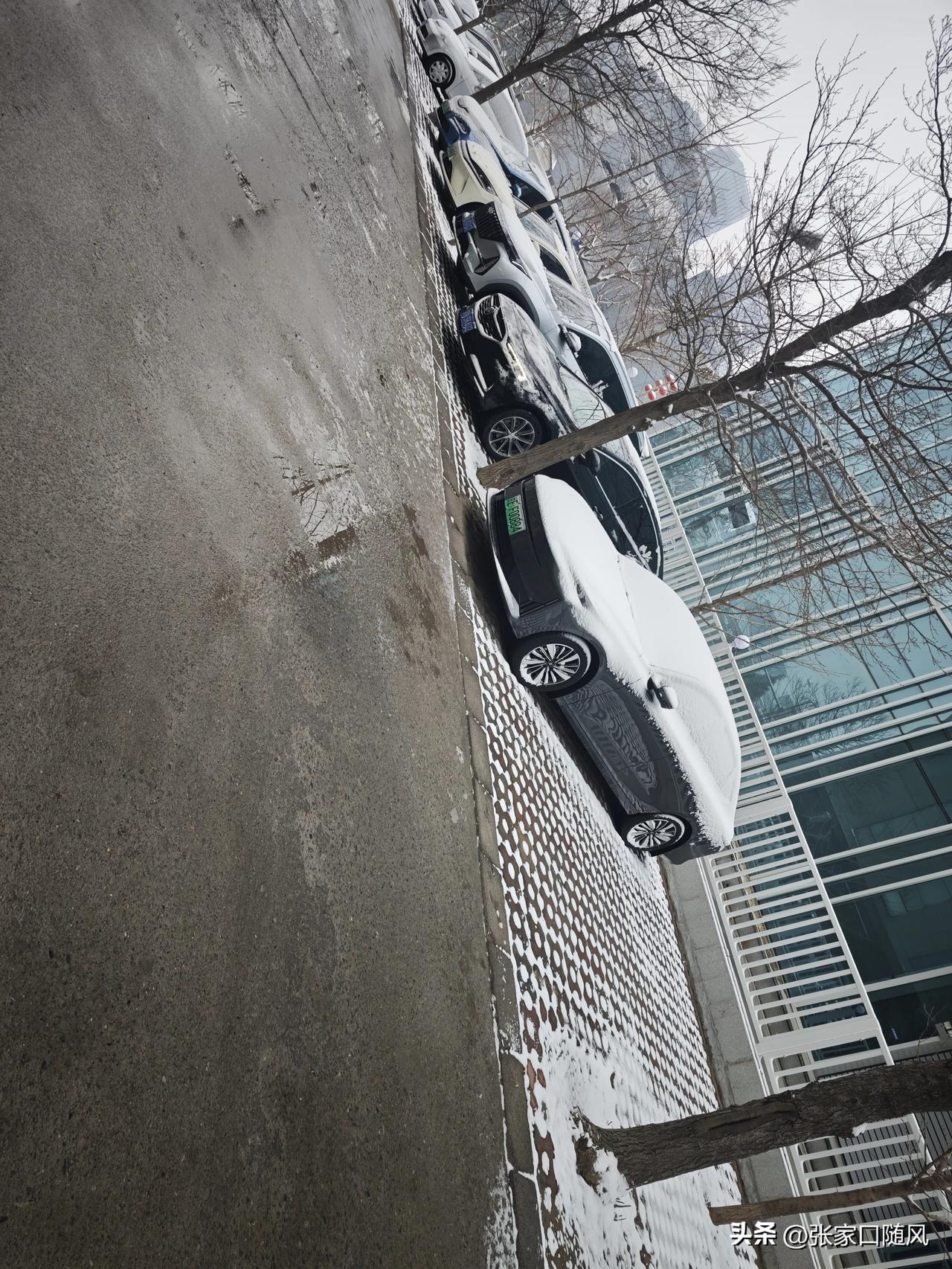 以前背的九九歌好像不准了。九九耕牛遍地走，九九过后春暖花开，静待春来。

北京的