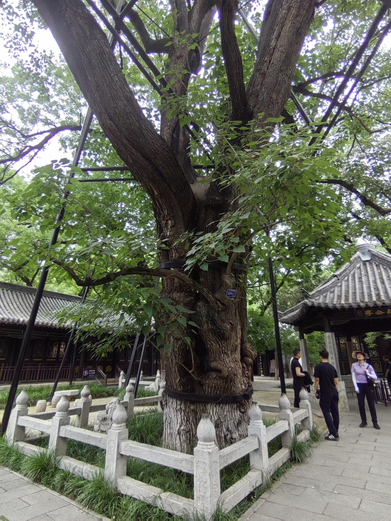 北宋三贤祠，欧阳修，范仲淹，富弼。我凝视三位贤人，三位贤人也凝视我。想起读过的三
