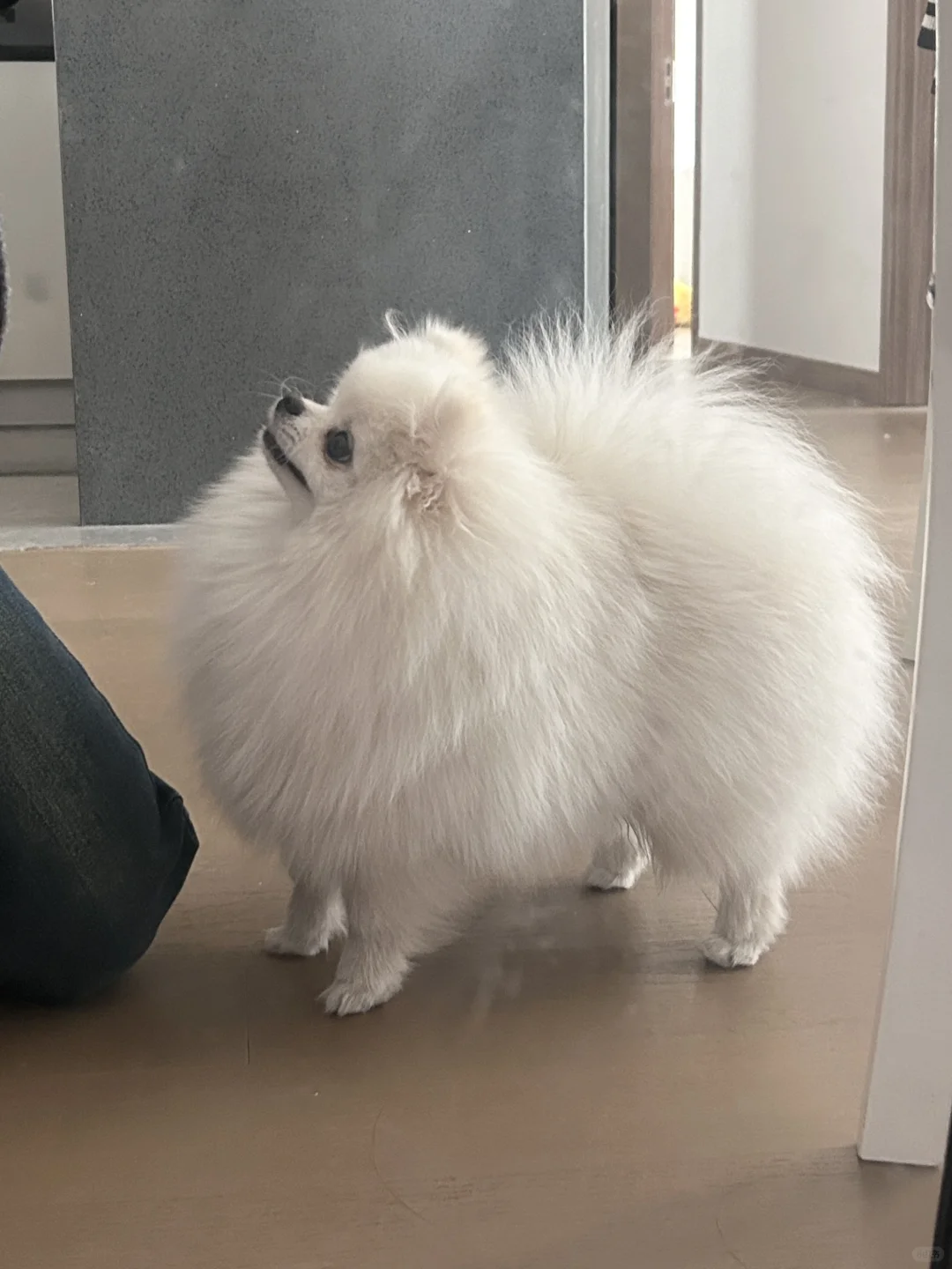 歪 在吗 忙啥呢