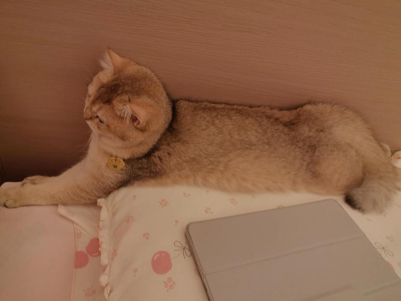 当今社会没有钱能行吗不行呀，生活中处处都需要钱，简单生活可能需要的比较少，但是怎