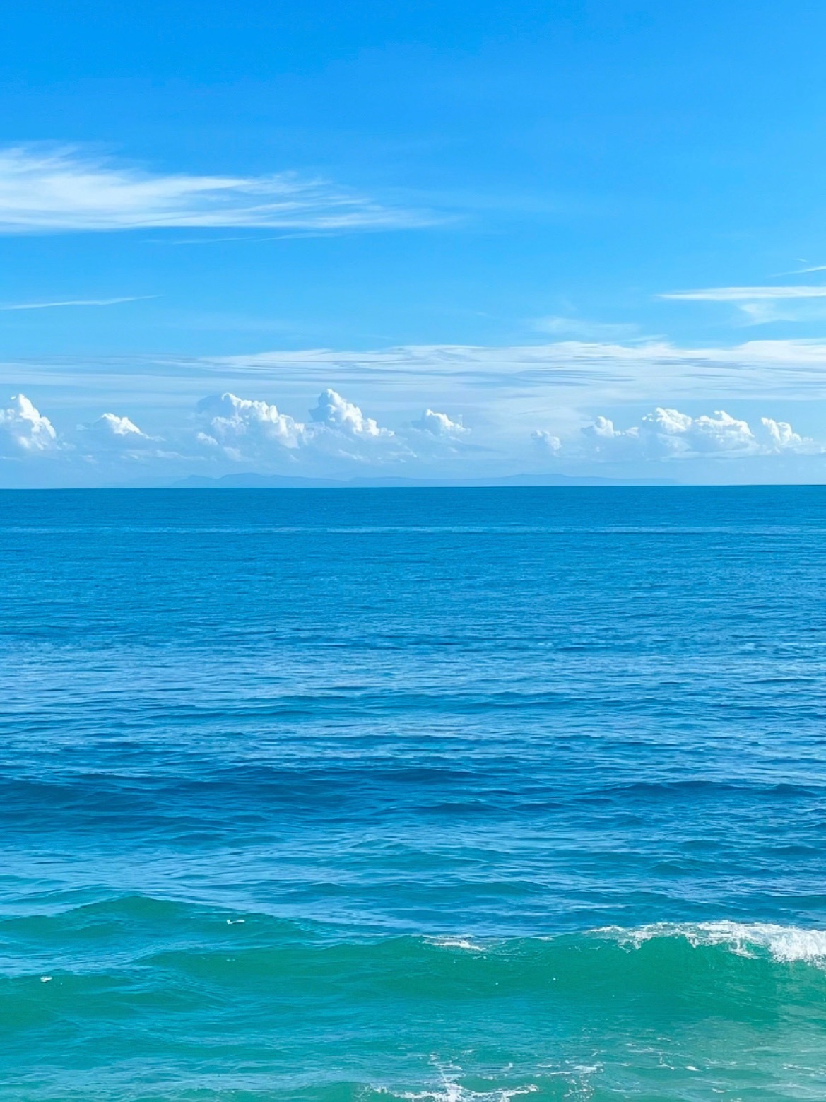 海 