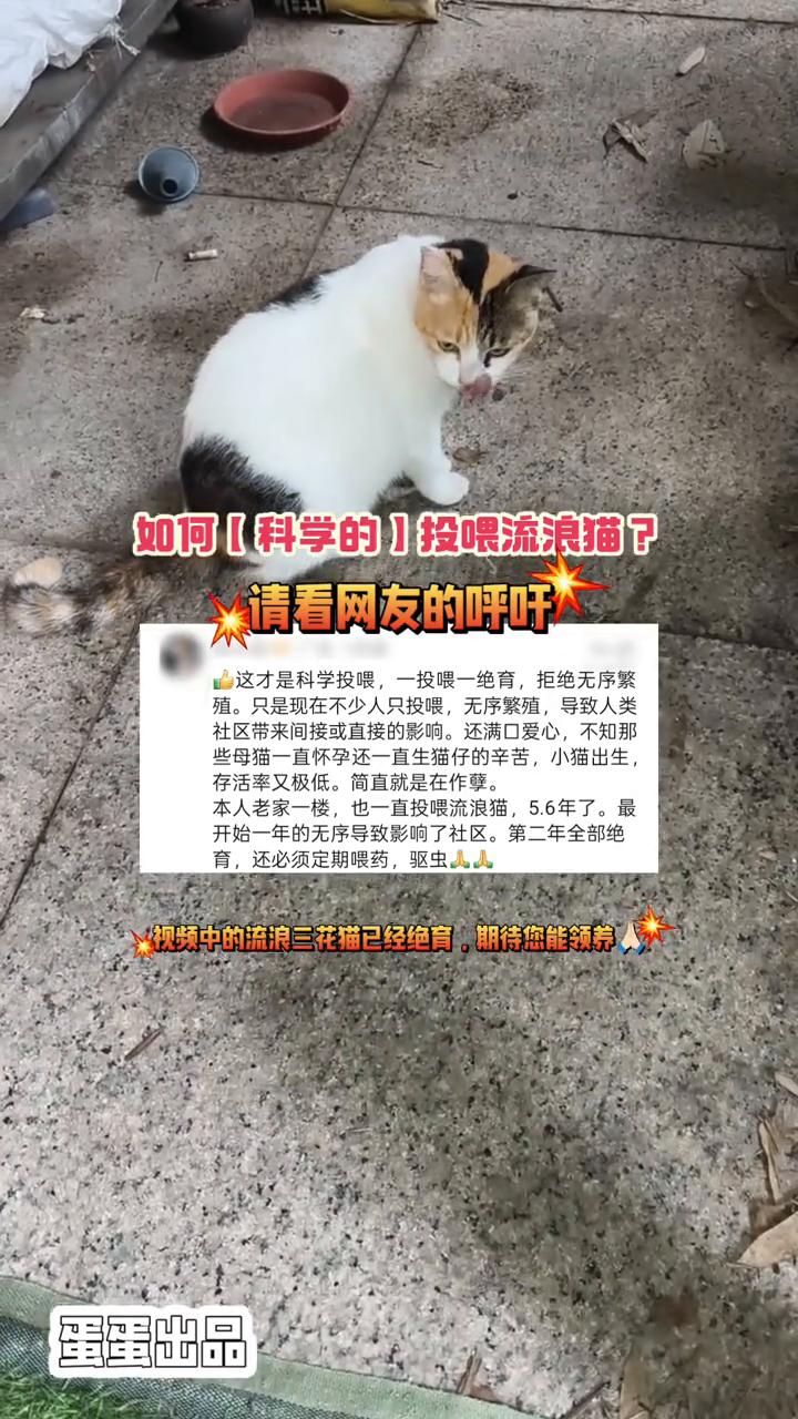 如何科学的投喂流浪猫？请看网友的呼吁。
这才是科学投喂，一投喂一绝育，拒绝无序繁