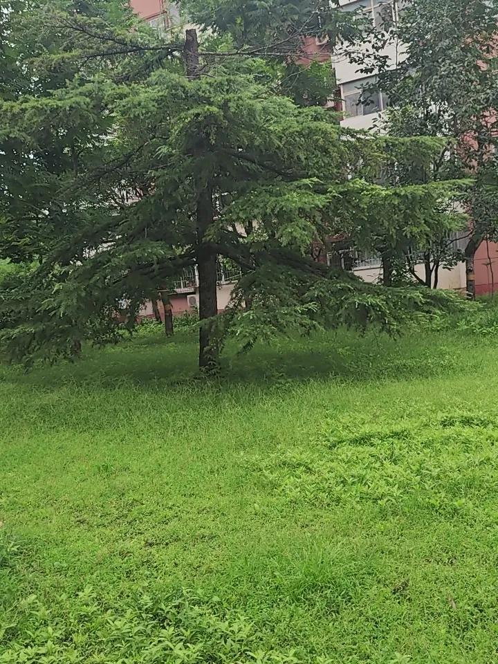 请你对下联
觅东南西北财
对联 对对联飞花令