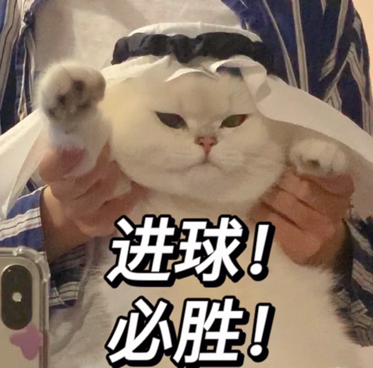 世界杯32强预测是鲜奶不是毒奶世界杯AI预测不如鲜奶靠谱许佳琪、杨冰怡、宋昕冉等
