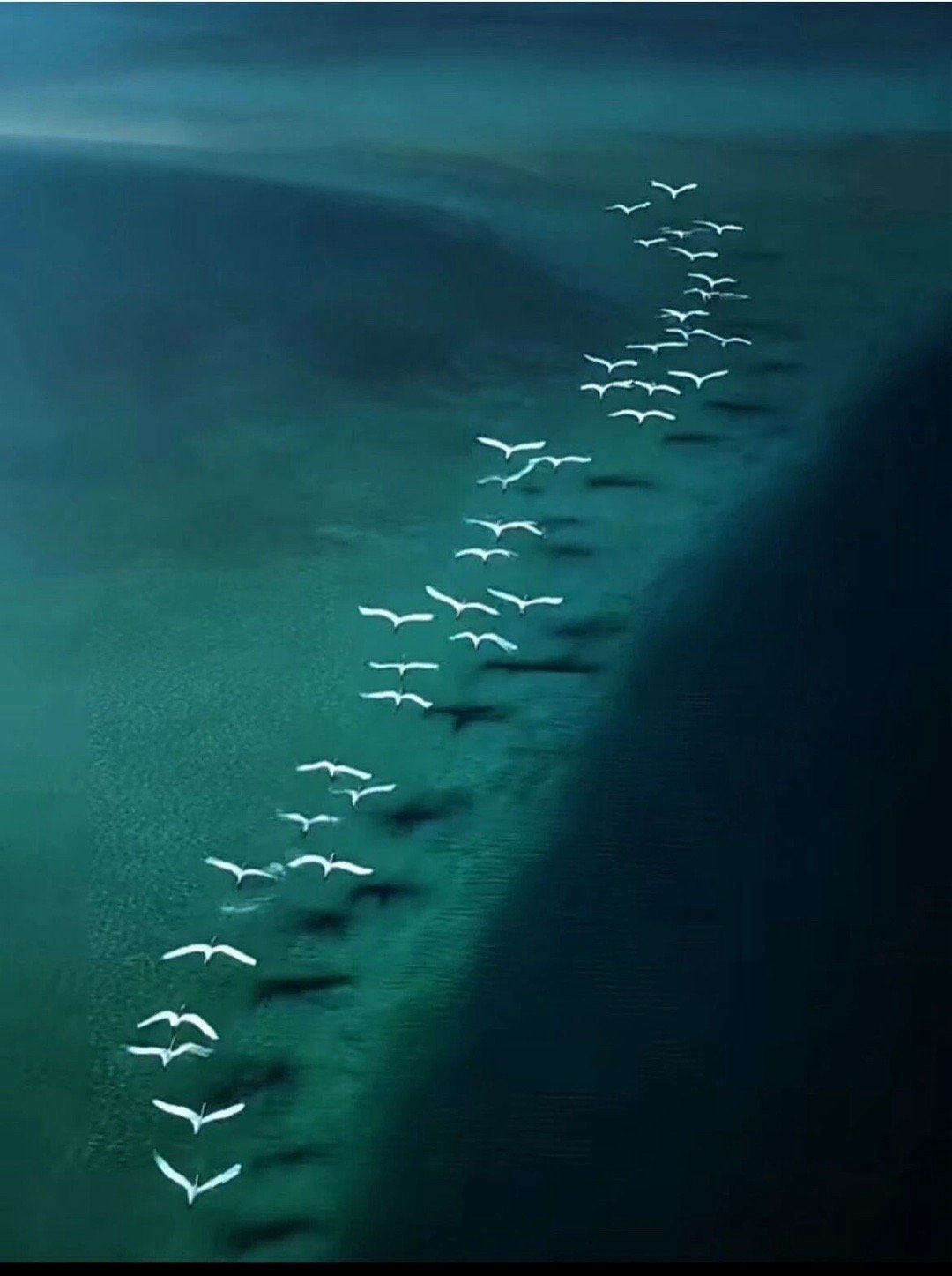 真正的博学，带来的不是决断的自信，而是对不确定性的敬畏。无知者坚信答案，而智者拥