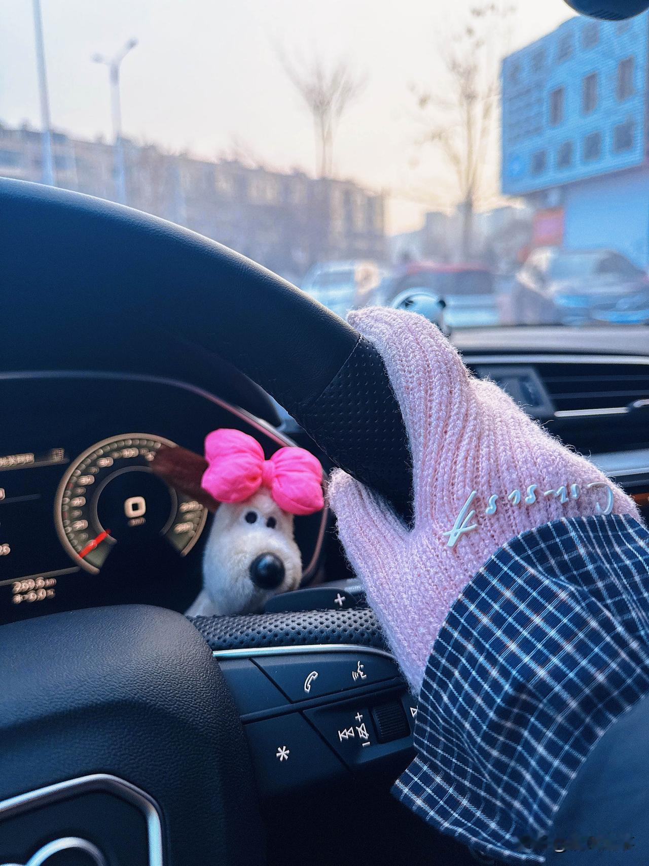 东北早清儿开车：
方向盘冻得像铁疙瘩
手套焊手上都嫌薄！

东北这早清儿，雾凇裹