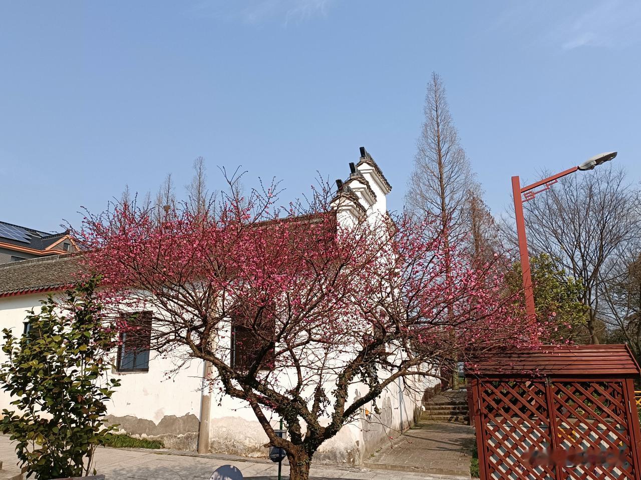 天府贤书：《周礼·地官·乡大夫》记载，每三年会全面考核百姓的德行与技艺，进而举荐