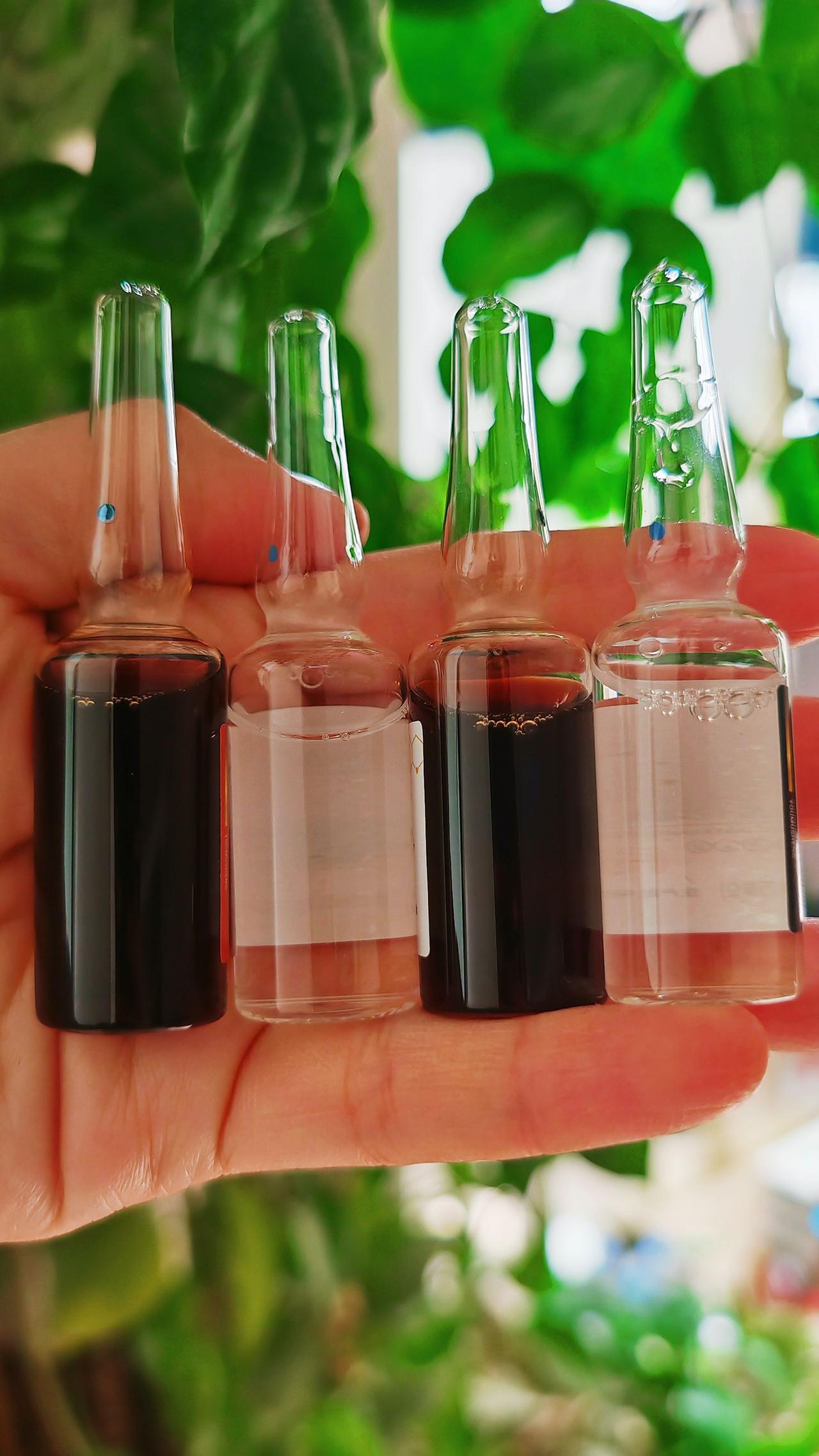 养羊人 农村养羊 牛羊养殖