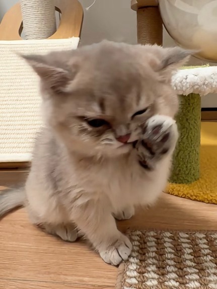 ᯠ   ᯄ 