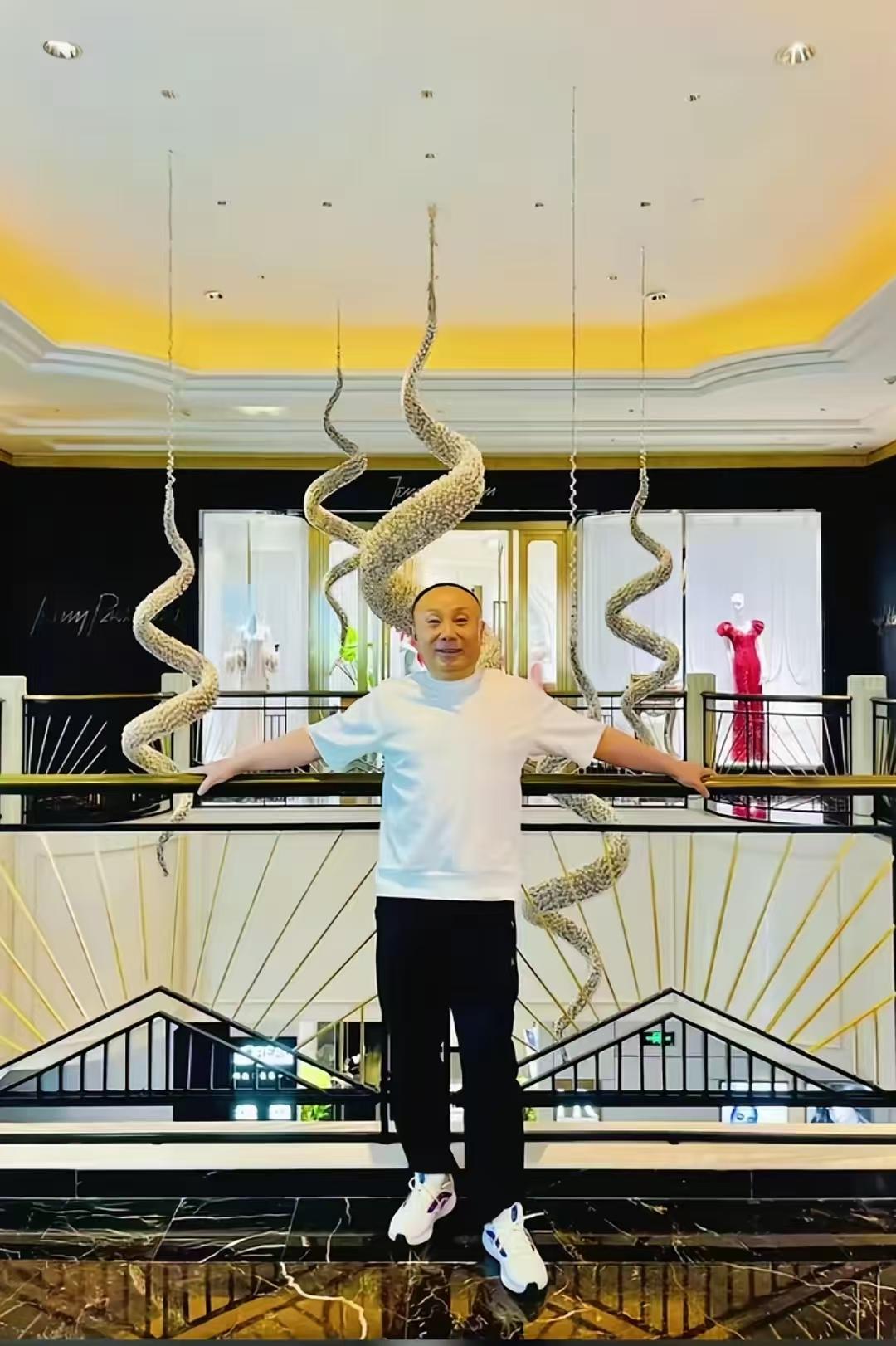 谁活着都不容易啊

我查了一下严总的公司

真的替他惋惜。公司原来都已经做到这么