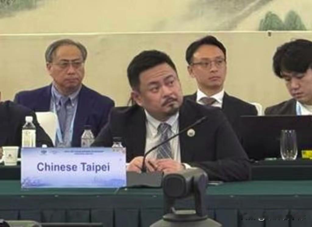 双重标准引热议，绿营的洪申翰南京参会桌牌为Chinese Taipei，青鸟为何