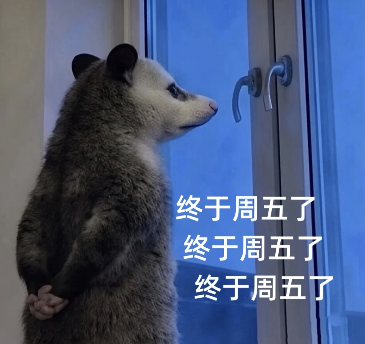 还有八个小时就周末了！！加油！跳小葵🥳 