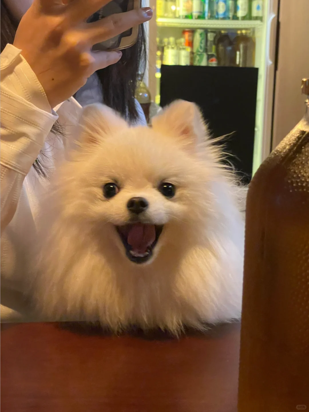 妈！！我也要！！