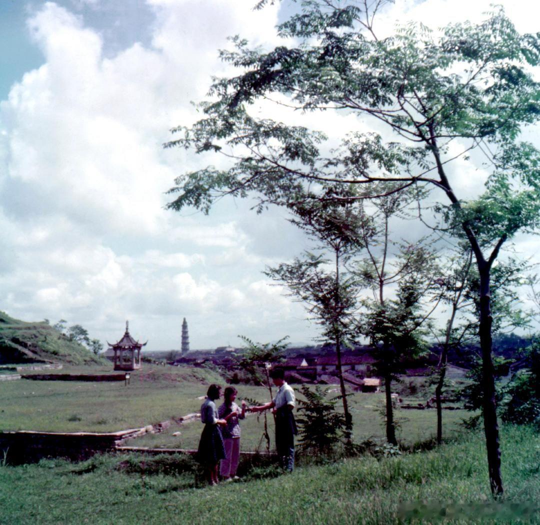 1956，浙江绍兴，龙山越王台草地，游人远眺古城古塔。摄影 钱浩 