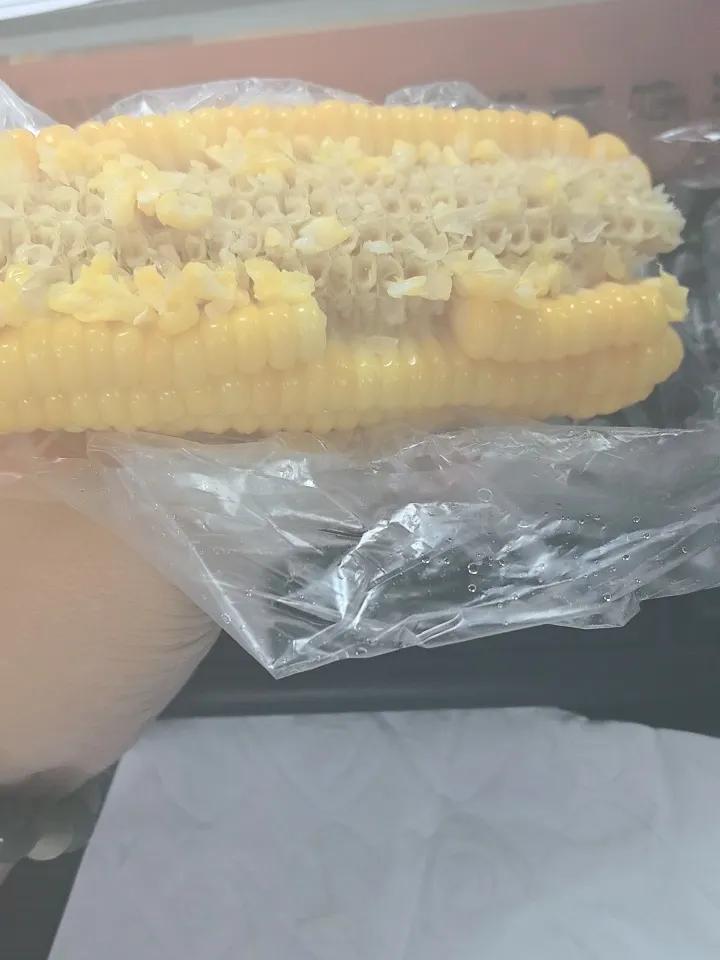 夏日生活打卡季牛马上班