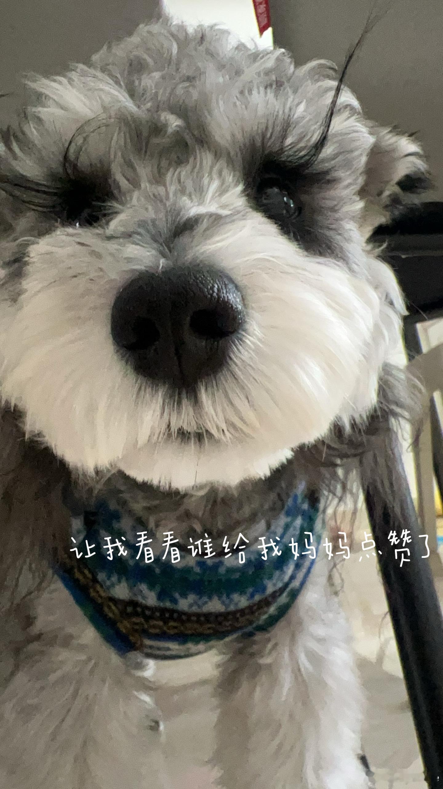 谁来看我了 ​​​