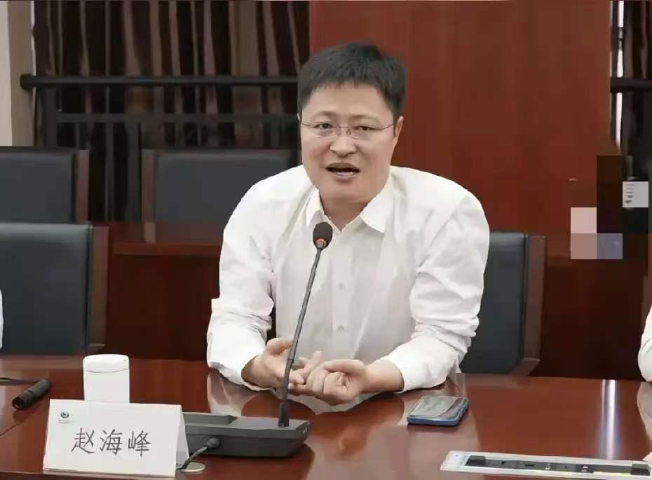 好奇查了下赵海峰的出身，
不查不知道，
赵海峰根本不是白手起家的大佬，而是真正的