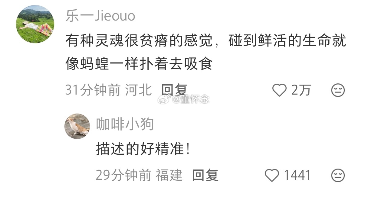 葫芦娃爷爷把葫芦都剪了很精准的描述。很多人太不文明了，太吵了。 ​​​