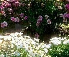 今年春天热的真的很反常，清明节的时候出去玩穿短袖，过完节又把棉服套上了，忽冷忽热