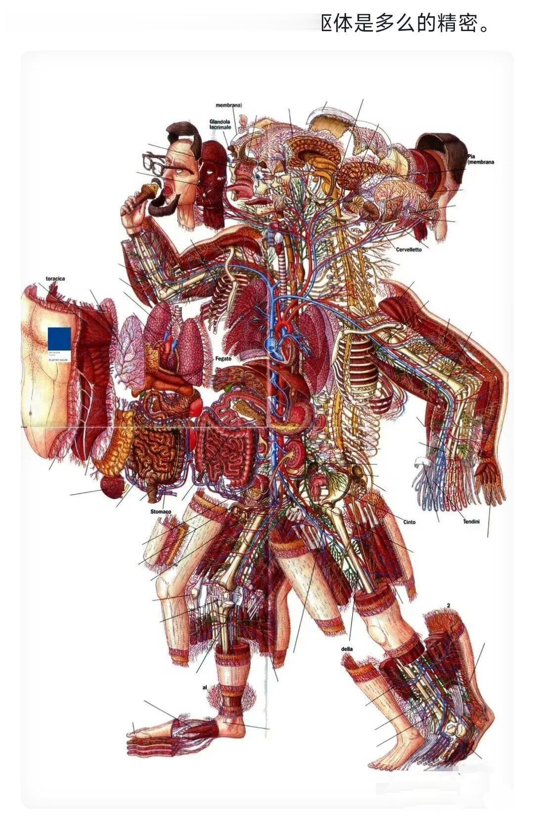 人的确是一个复杂的生物