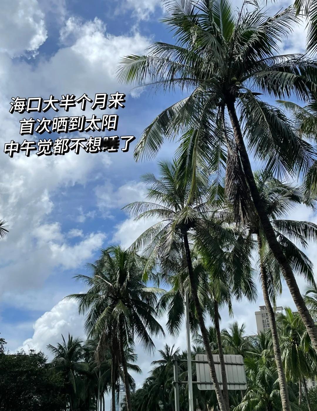 海口的发霉宝子们都收到阳光通知了嘛？
海口 台风半个月阴雨天气