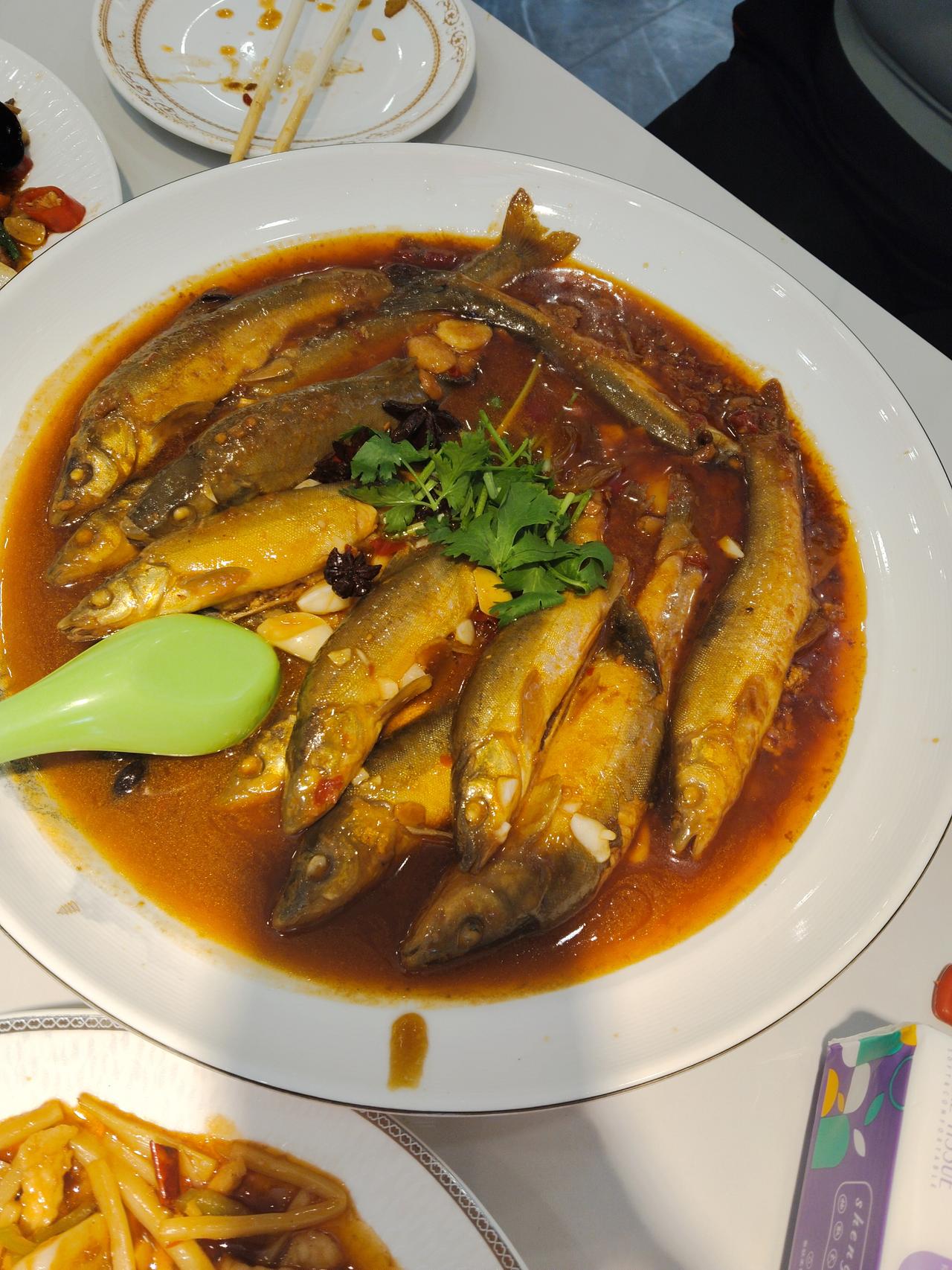 中午顿小鱼