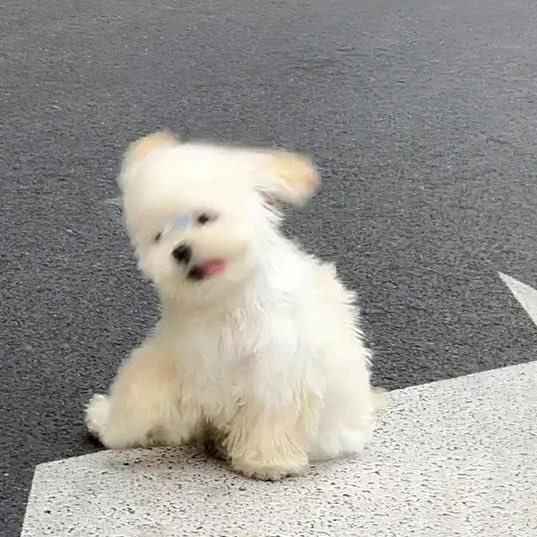 推2K转 URL：网页链接