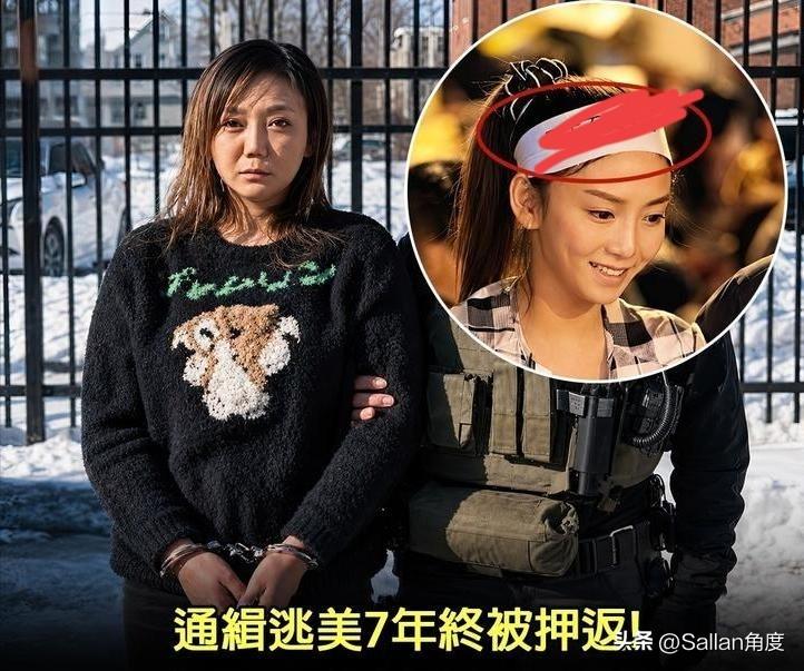 卿本佳人，奈何做贼！
台湾有刘乔安，香港有周庭，相同的地方挺多的：
1.都是从街