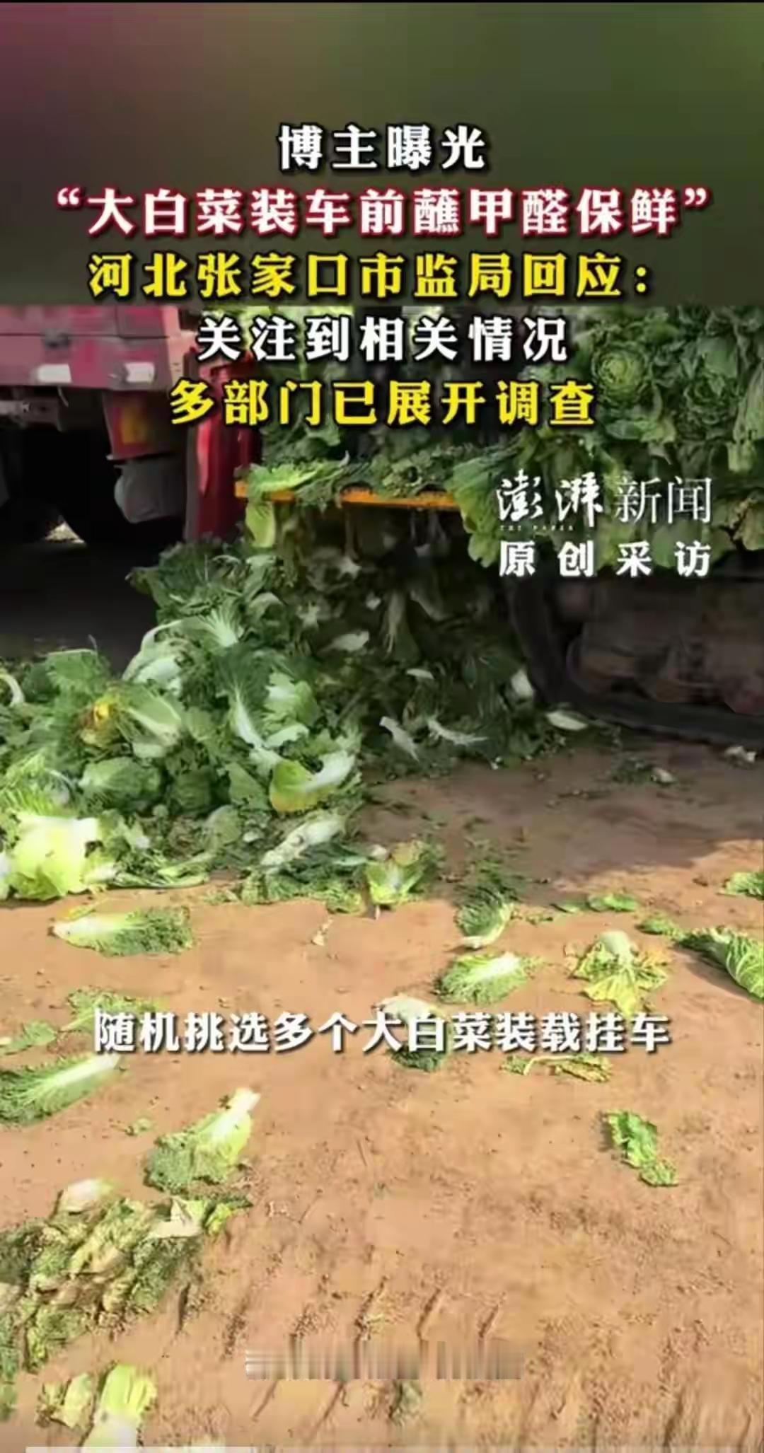 首先这些白菜收购商肯定违反了食品安全法律法规，必须追查并销毁这批有毒白菜，对不法
