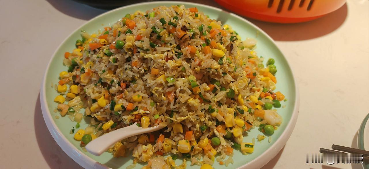在扬州
要吃扬州炒饭
46块钱
客观的说，贵吗？