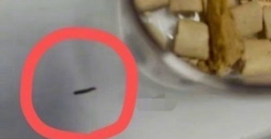 VE宠物冻干试吃装被曝出现活虫VE客服称涉事冻干批次已安排抽检溯源 8月14日起
