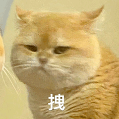 猫宁啊朋友们，今天这个日课给人的感觉，咋说呢，应该会有不少朋友会迈出勇敢的一步，