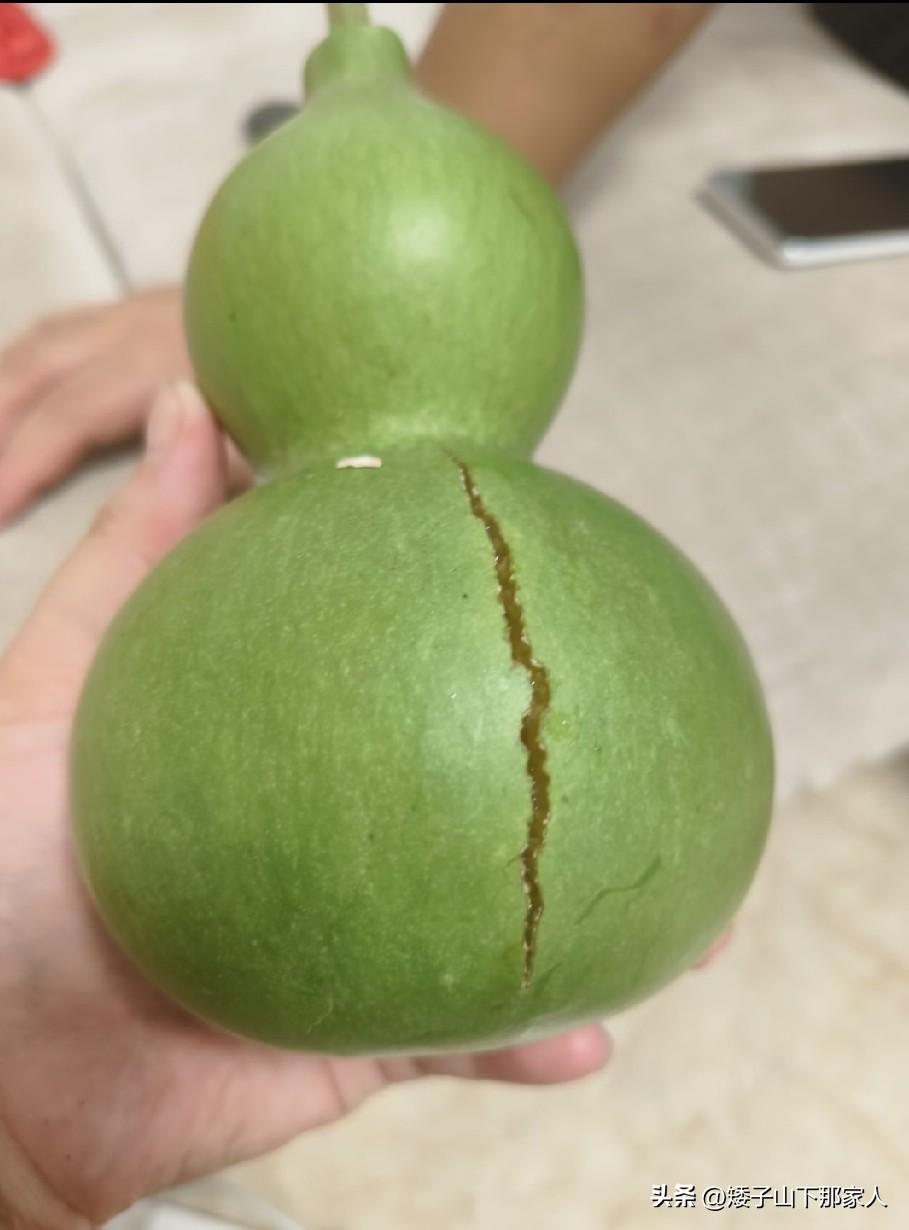 裂开了，这葫芦没救了