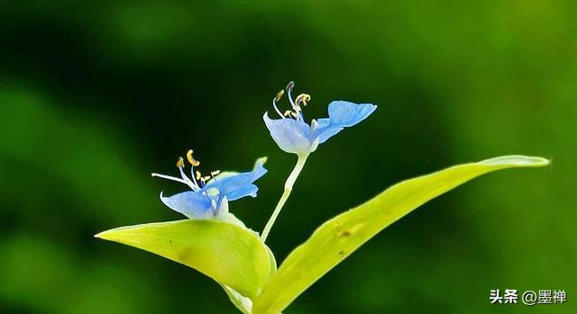 发现一个很扎心的真相：你越想得到什么，就越得不到什么。

直到我读懂了佛说：“发