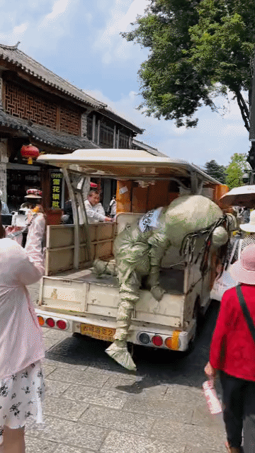 快拦住它，这个充气娃娃上肯定有和平星！[捂脸]